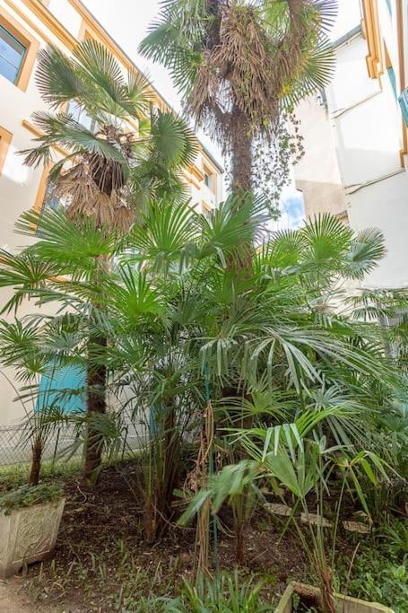 Apartamento L'elegance Du Capitole